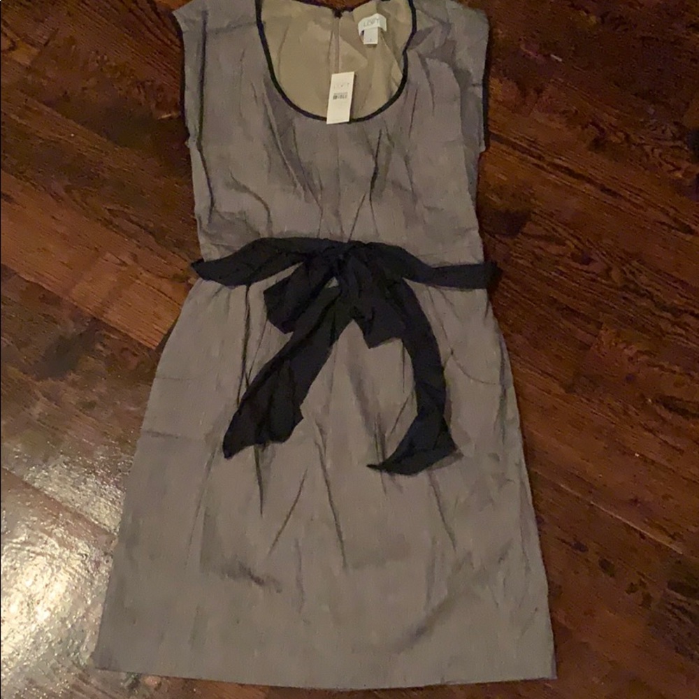 Ann Taylor LOFT dress